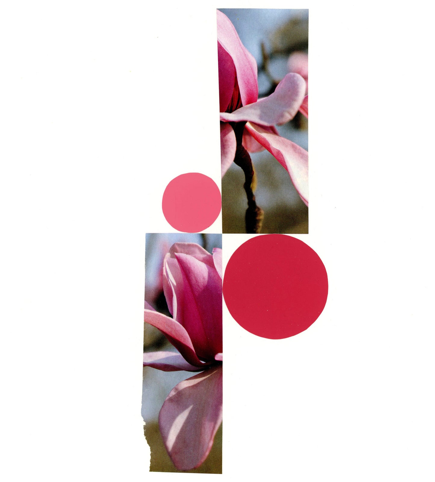 Botanical